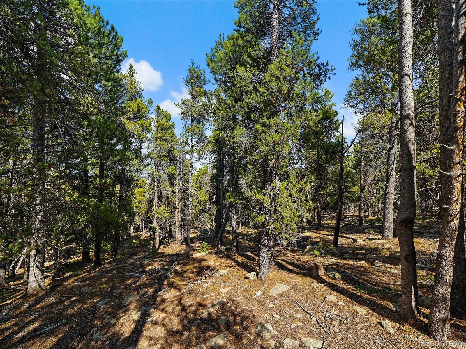 000 Edward Drive Conifer CO 80433