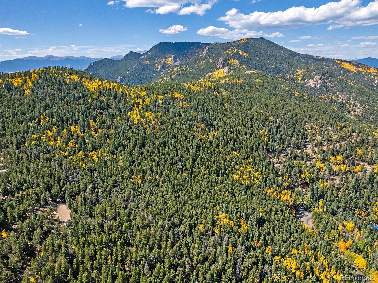 000 Edward Drive Conifer CO 80433