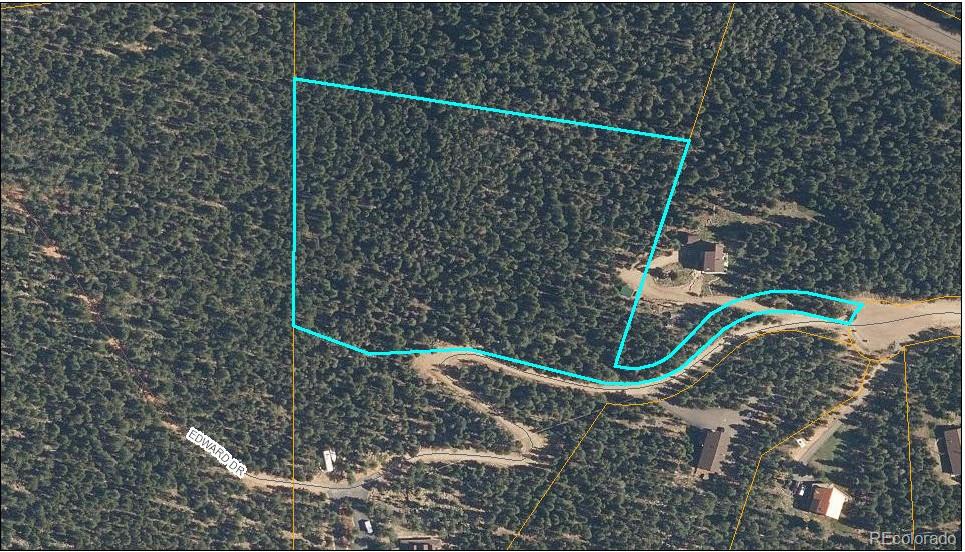 000 Edward Drive Conifer CO 80433