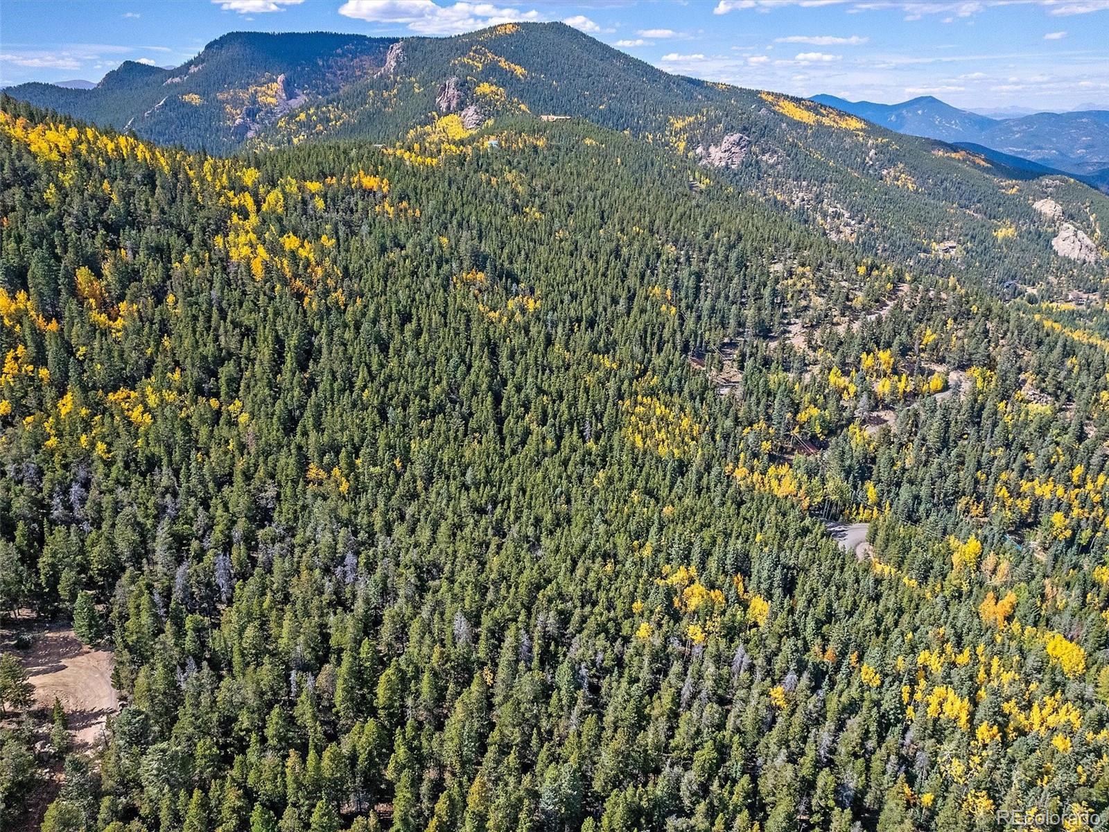 000 Edward Drive Conifer CO 80433