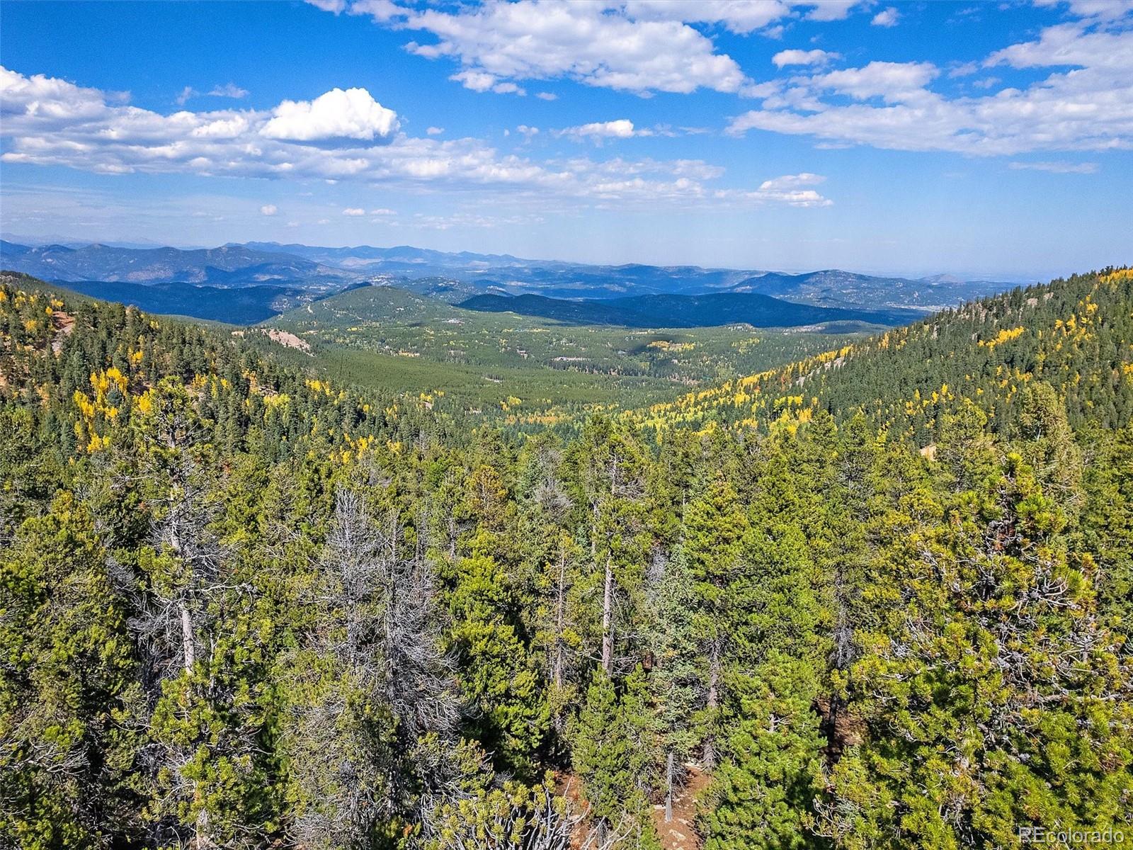 000 Edward Drive Conifer CO 80433