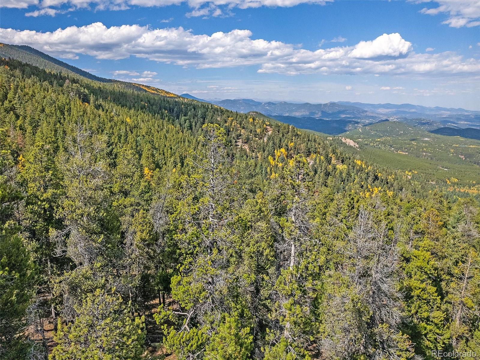 000 Edward Drive Conifer CO 80433