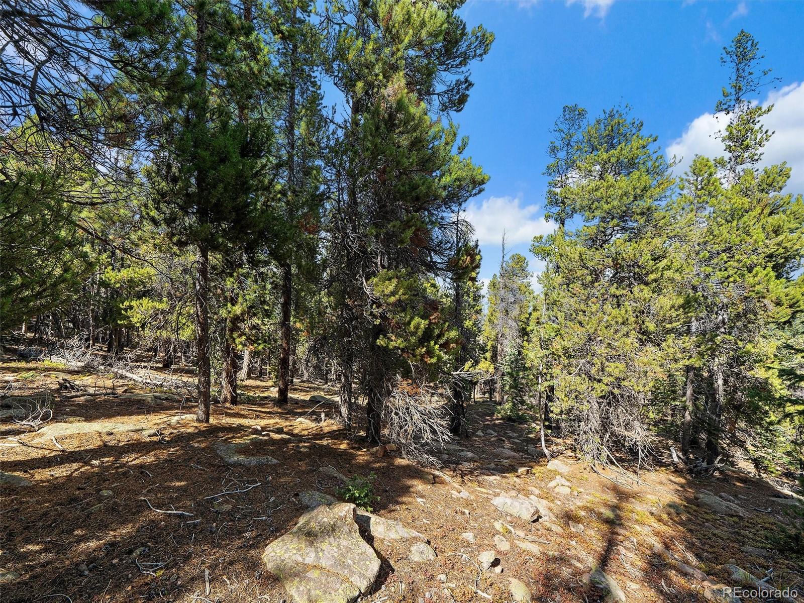 000 Edward Drive Conifer CO 80433