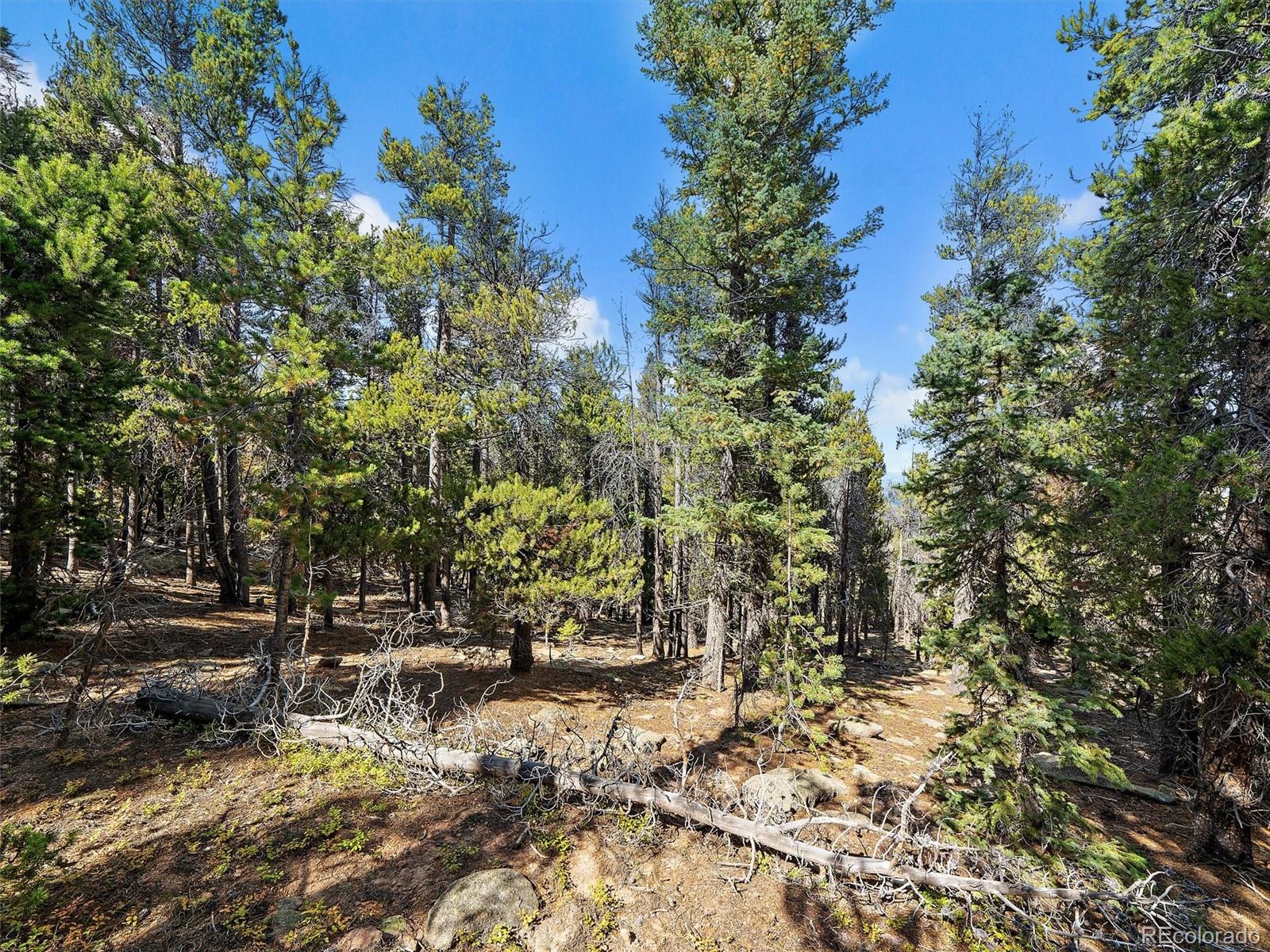 000 Edward Drive Conifer CO 80433