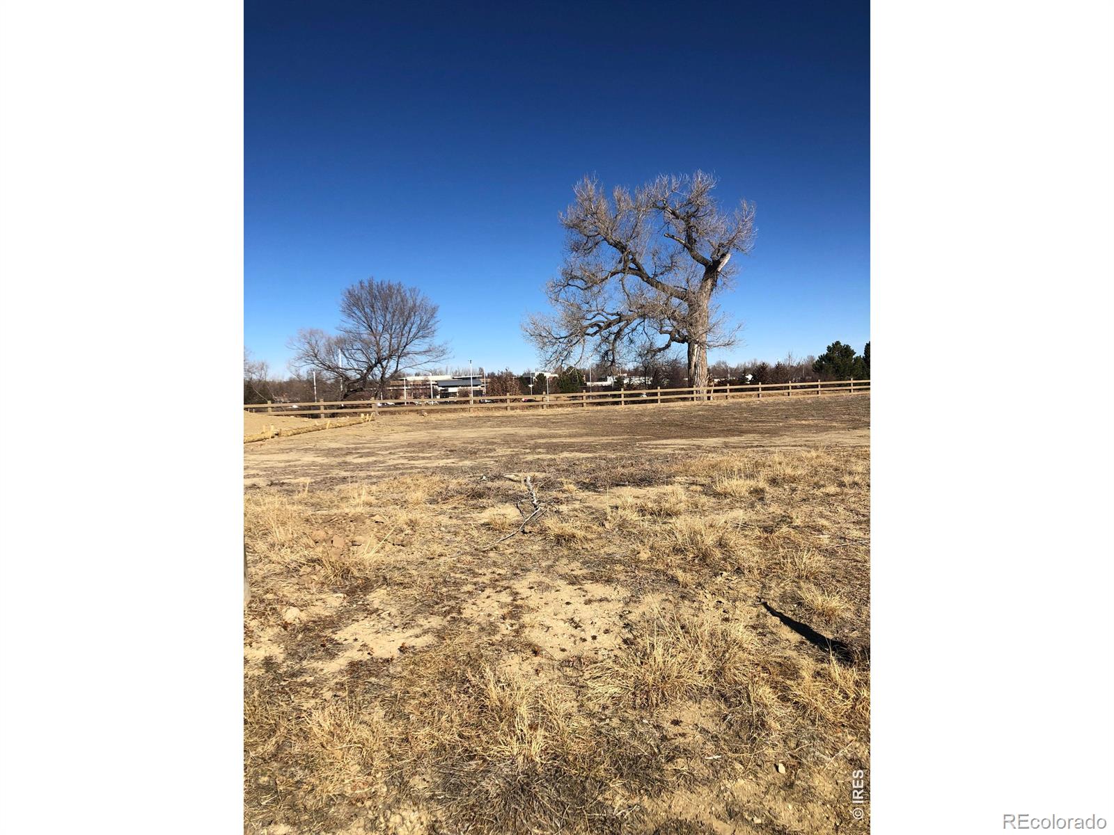 932 Langdale Drive Fort Collins CO 80526