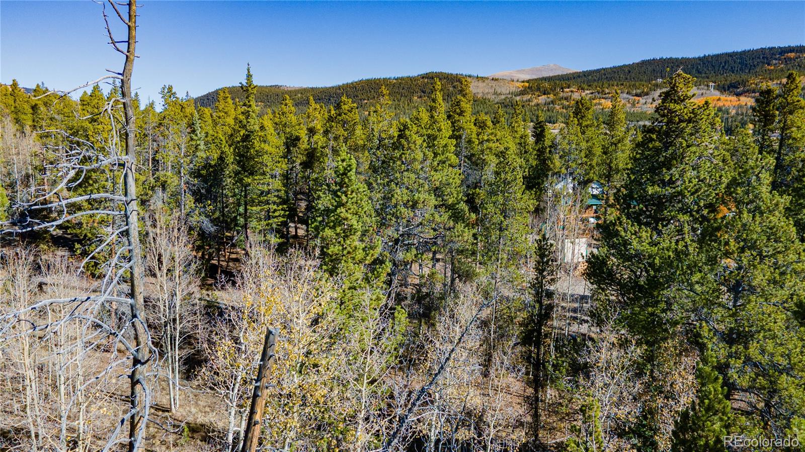 235 Willow Lane Fairplay CO 80440