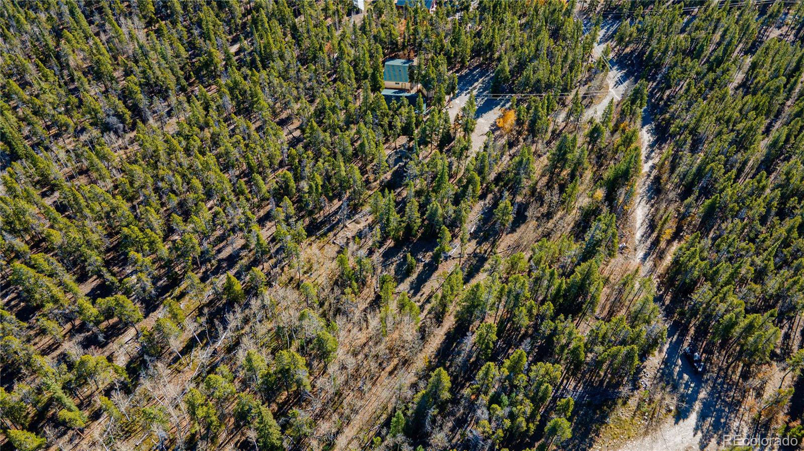 235 Willow Lane Fairplay CO 80440