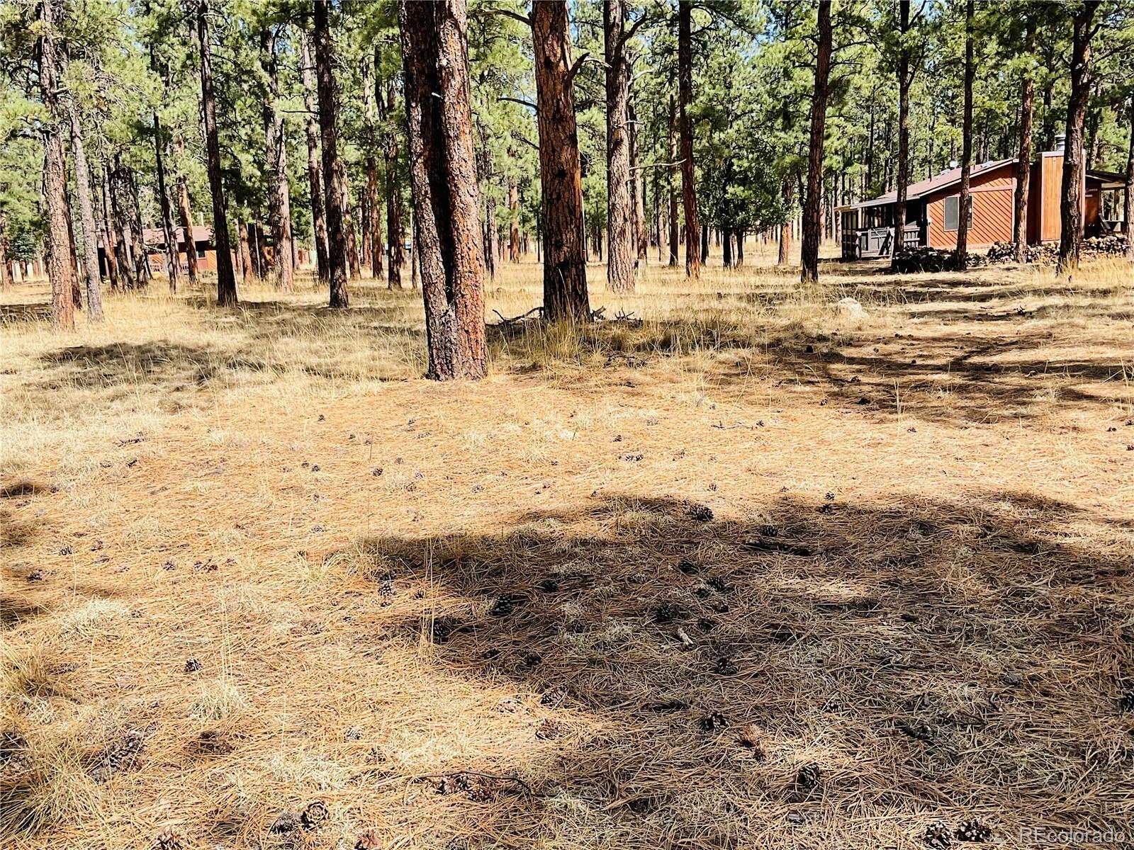 Blk 4 Lot 6 Weston CO 81091