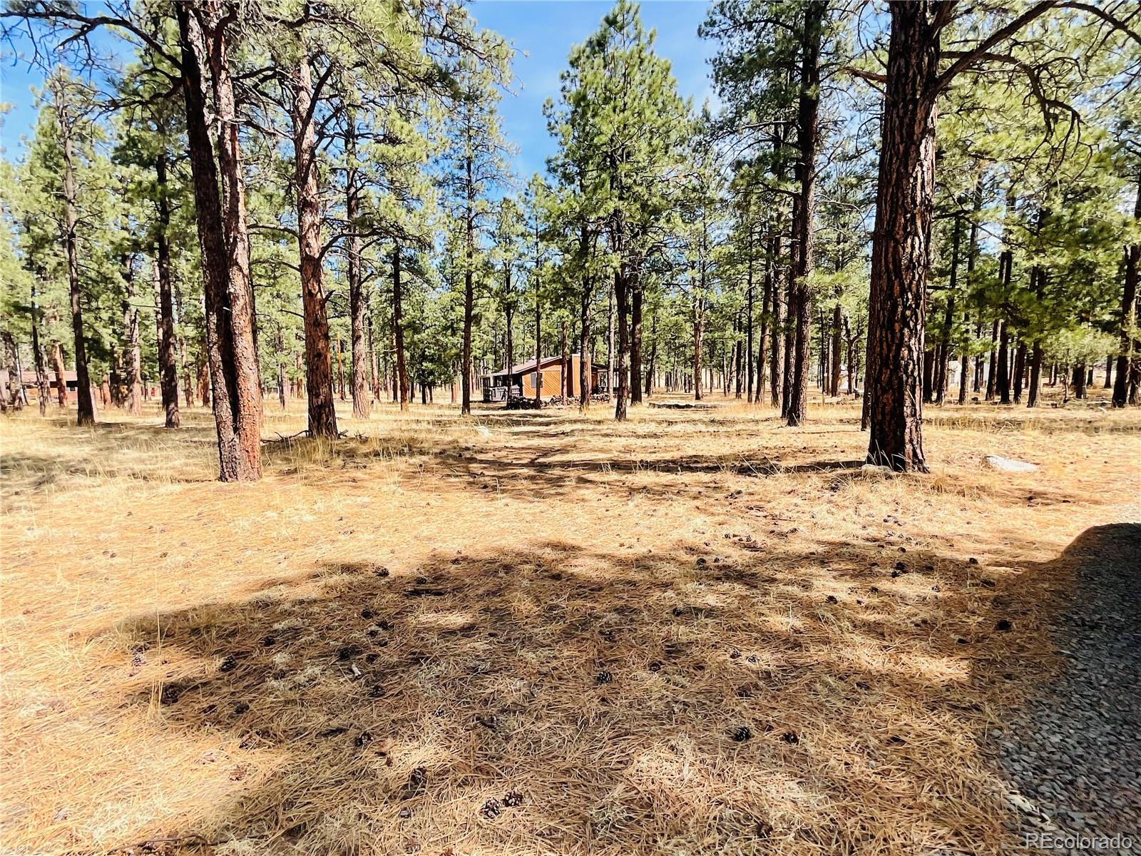 Blk 4 Lot 6 Weston CO 81091