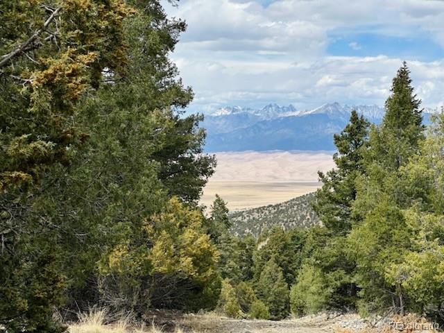 313 Arrastre Road Mosca CO 81146