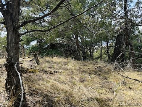 313 Arrastre Road Mosca CO 81146
