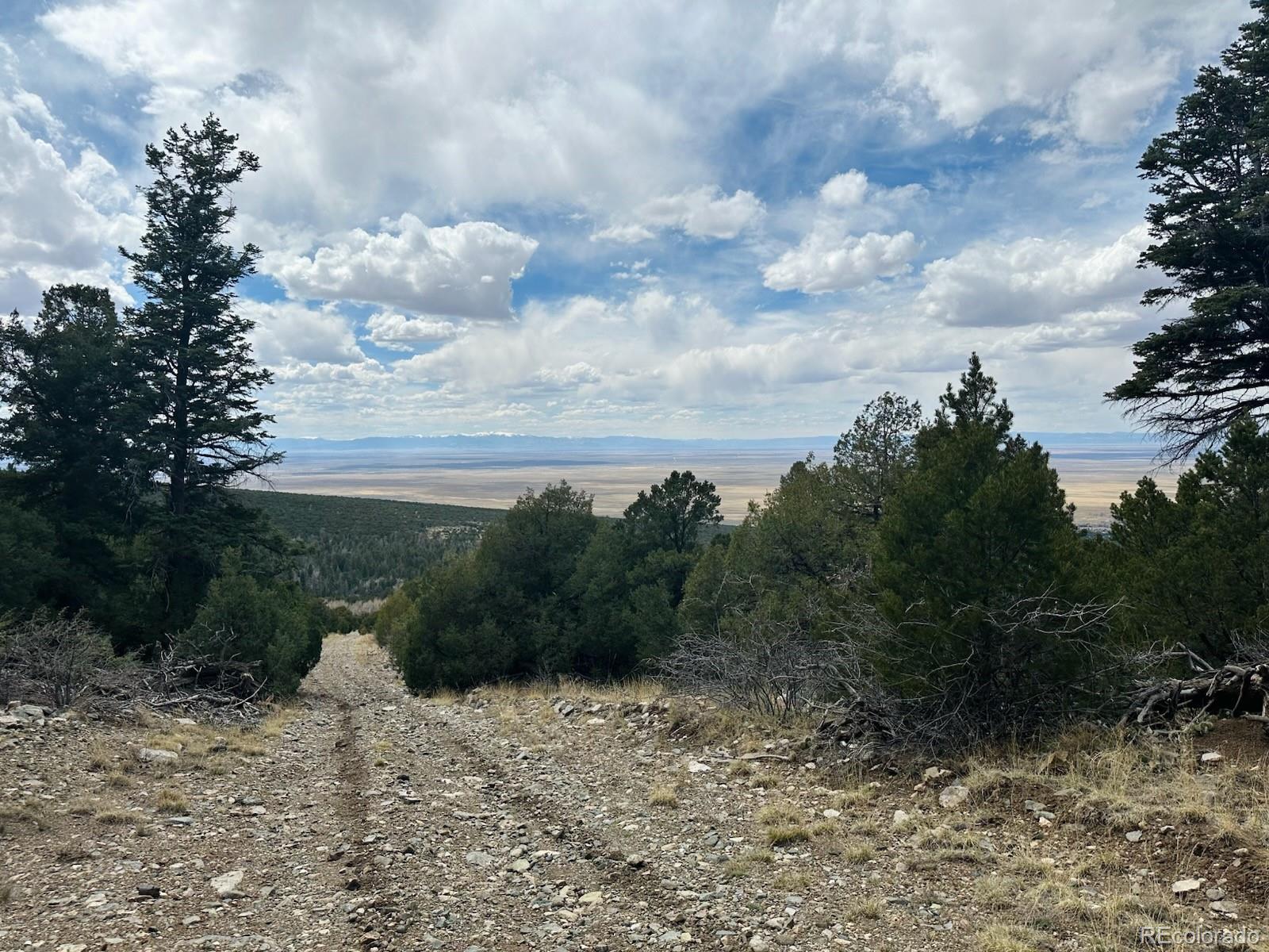 313 Arrastre Road Mosca CO 81146