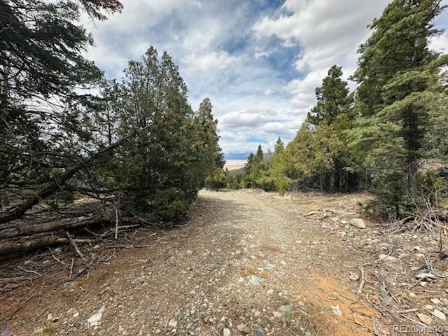 313 Arrastre Road Mosca CO 81146