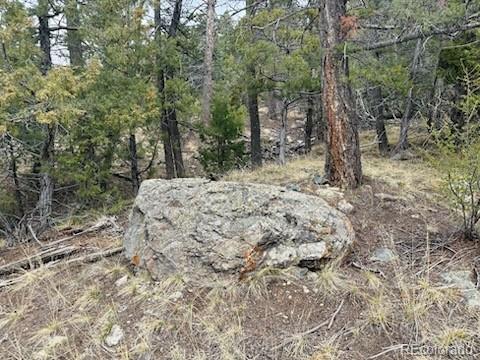 313 Arrastre Road Mosca CO 81146