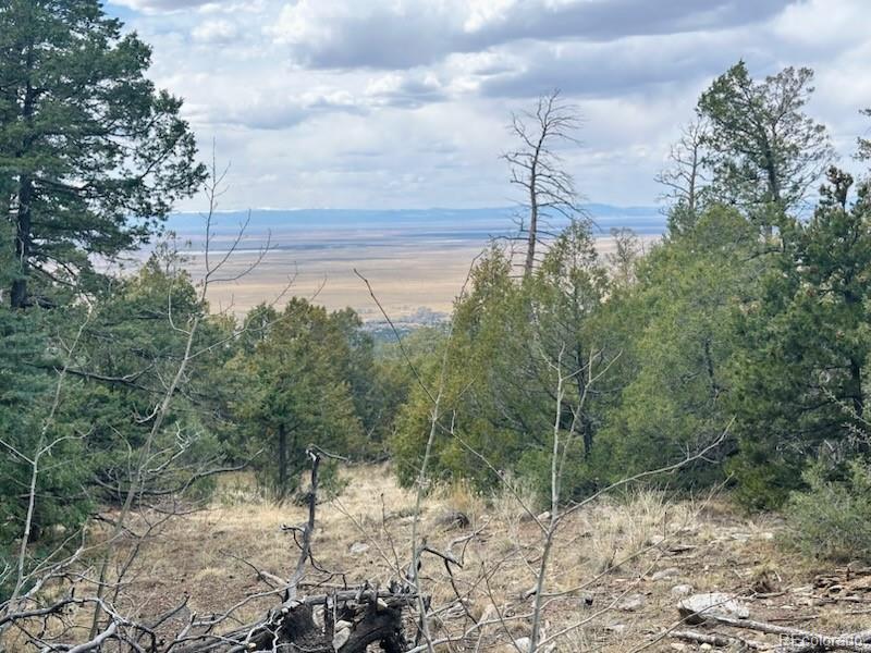 313 Arrastre Road Mosca CO 81146