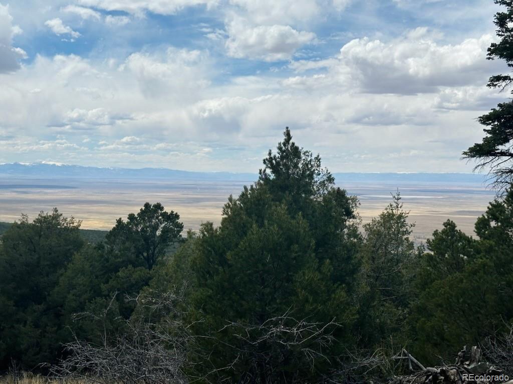 313 Arrastre Road Mosca CO 81146