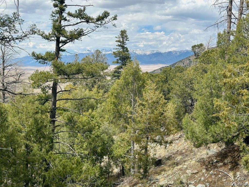 313 Arrastre Road Mosca CO 81146