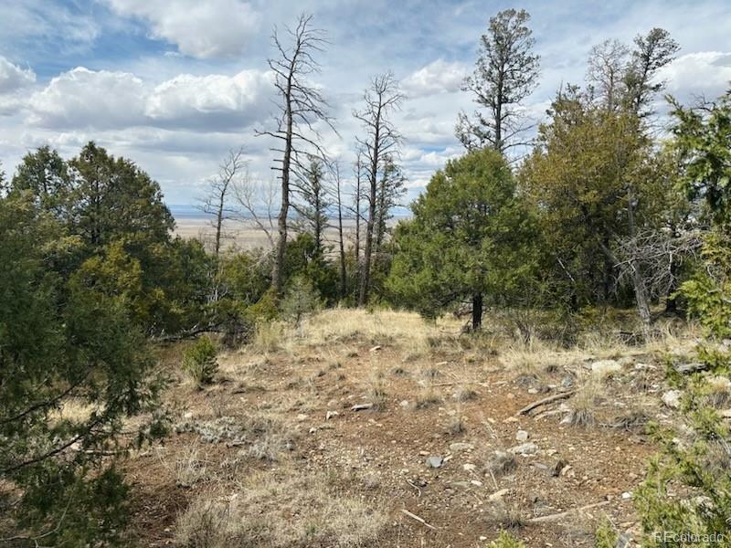313 Arrastre Road Mosca CO 81146