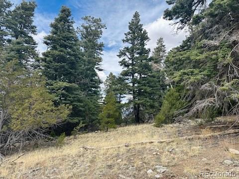313 Arrastre Road Mosca CO 81146