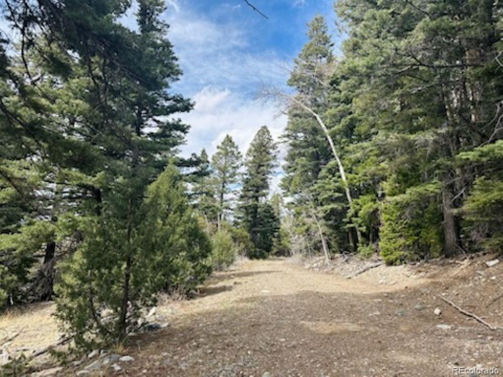 313 Arrastre Road Mosca CO 81146