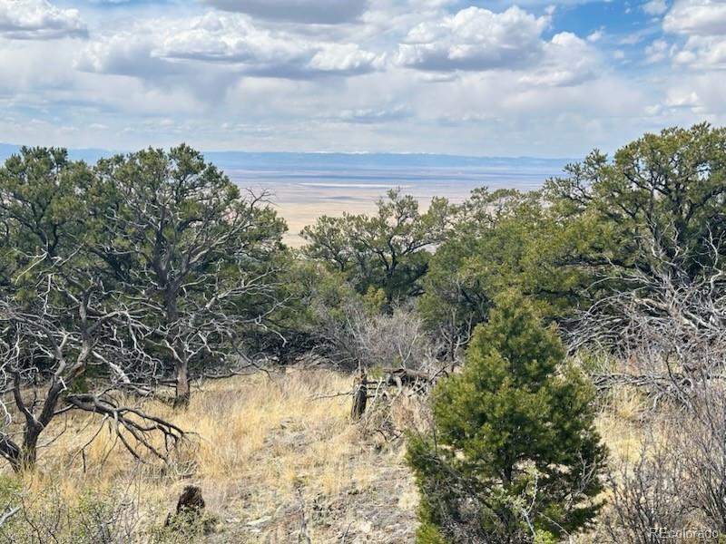 313 Arrastre Road Mosca CO 81146