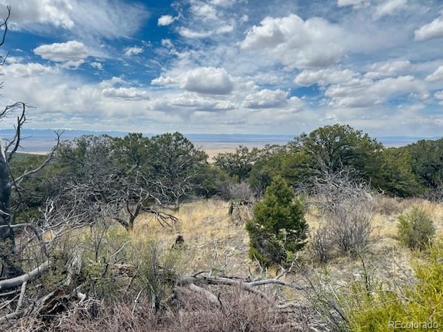 313 Arrastre Road Mosca CO 81146
