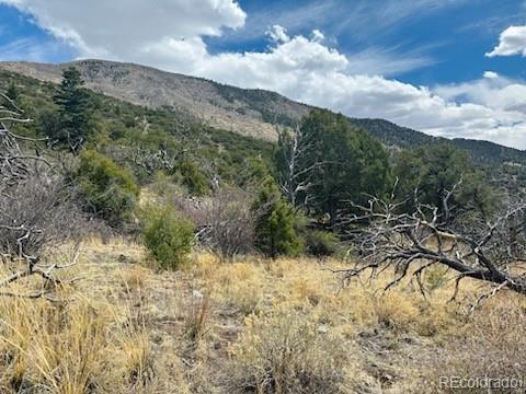 313 Arrastre Road Mosca CO 81146