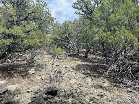 313 Arrastre Road Mosca CO 81146