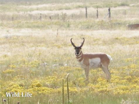 500 Two Creeks Cotopaxi CO 81223