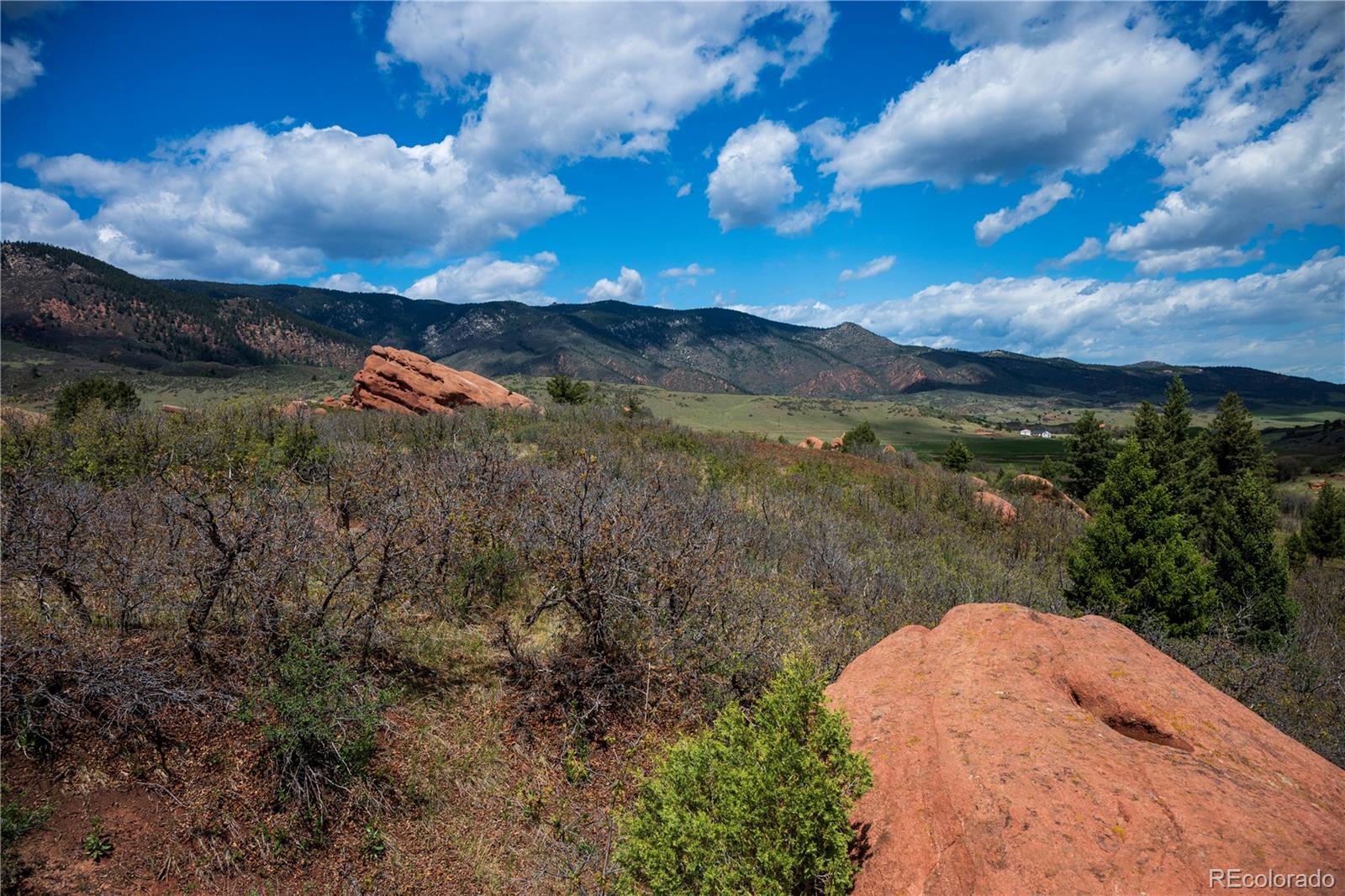 6128 Columbine Court Larkspur CO 80118