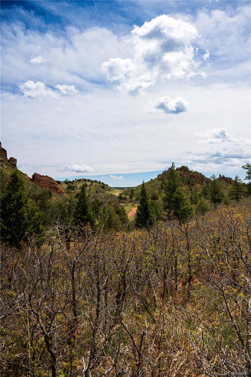 6128 Columbine Court Larkspur CO 80118