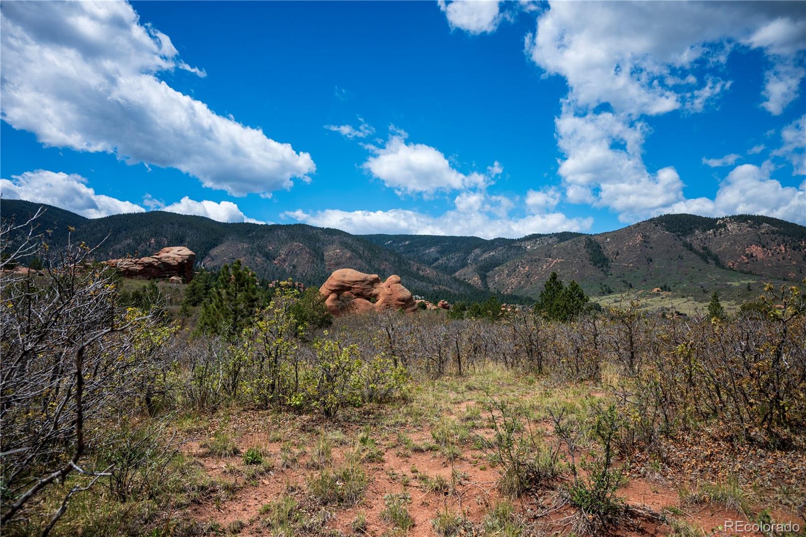 6128 Columbine Court Larkspur CO 80118