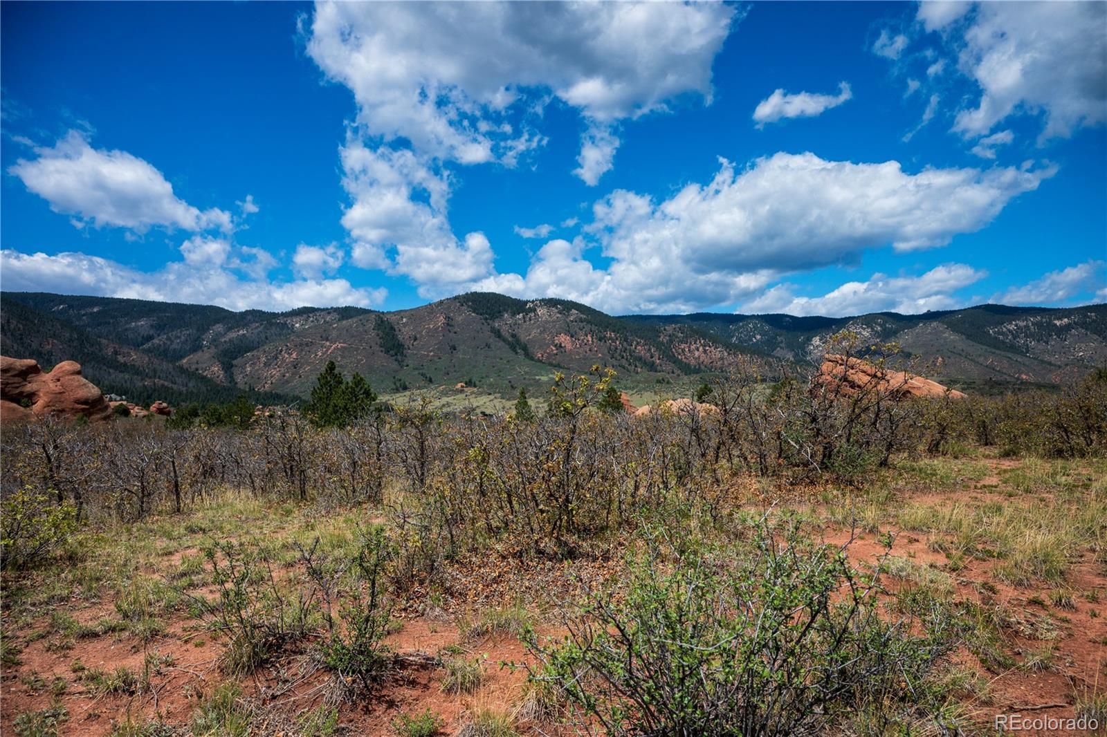 6128 Columbine Court Larkspur CO 80118