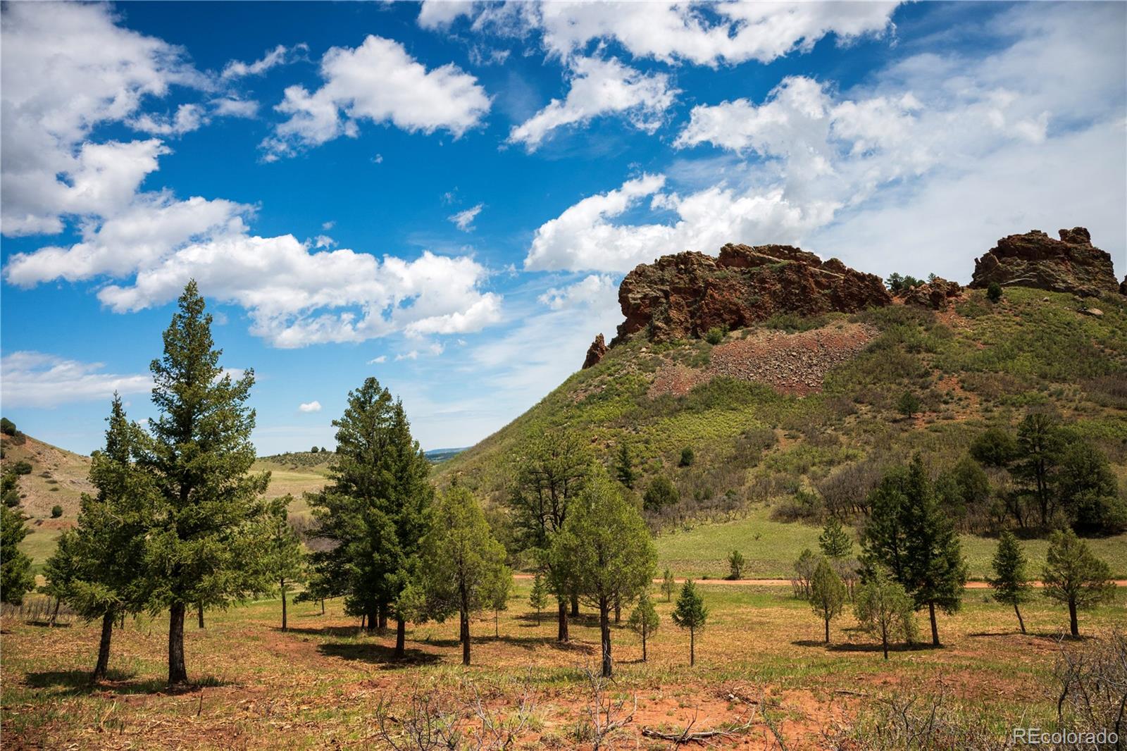6128 Columbine Court Larkspur CO 80118
