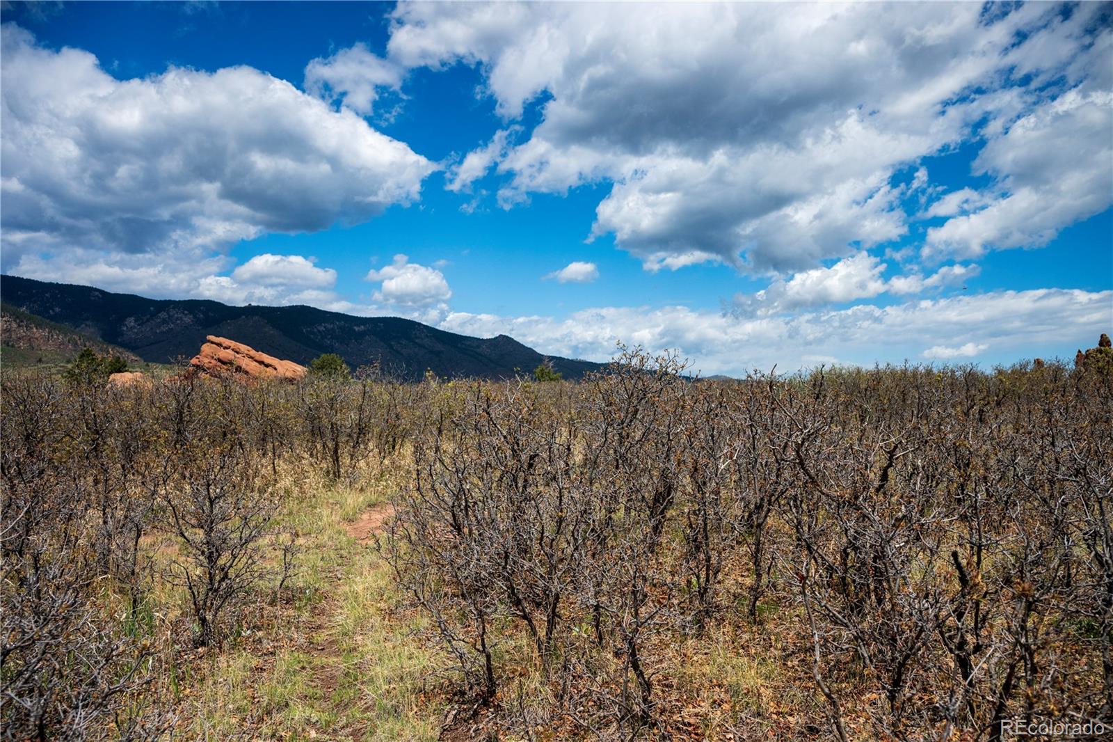 6128 Columbine Court Larkspur CO 80118