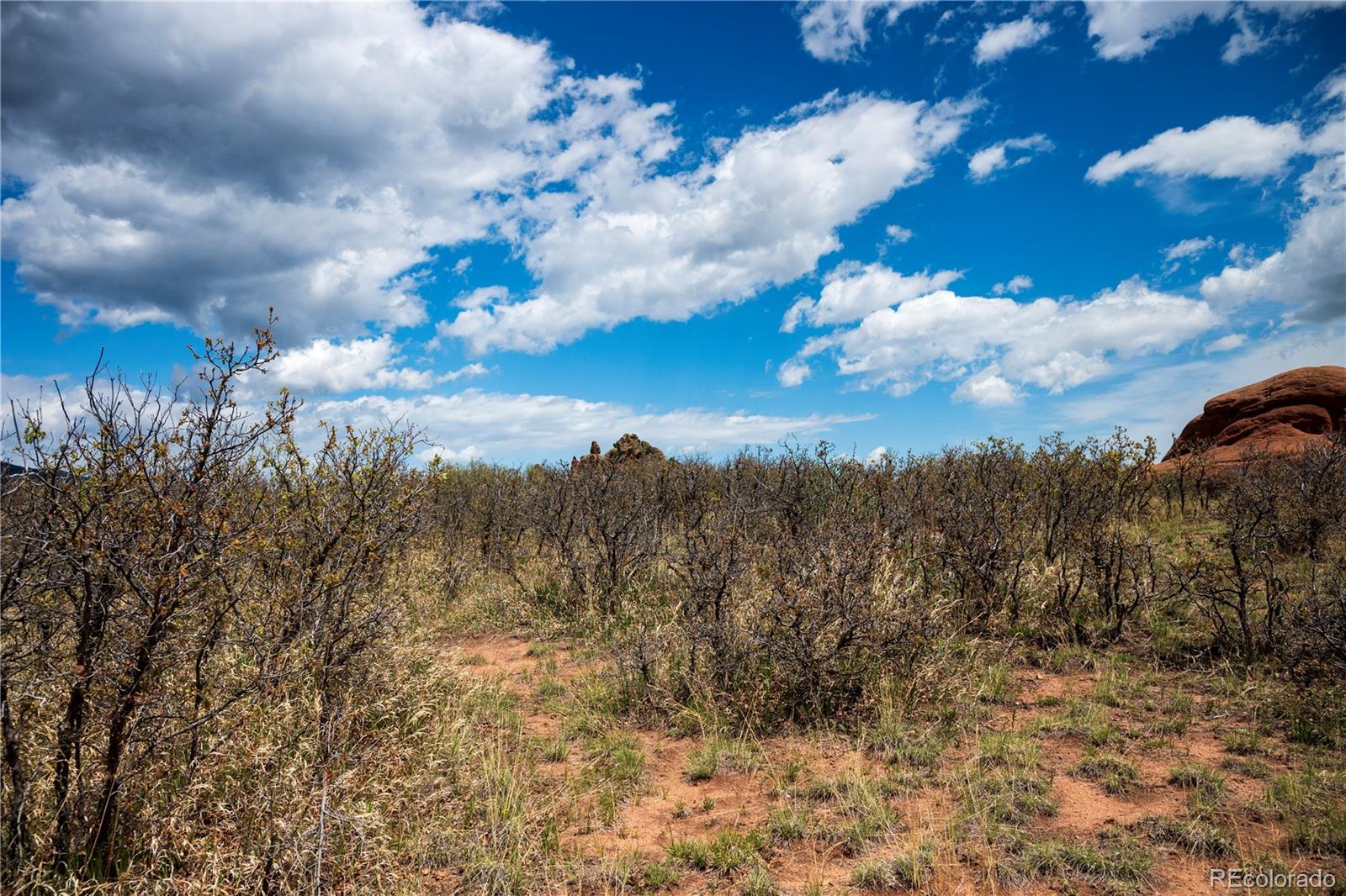 6128 Columbine Court Larkspur CO 80118