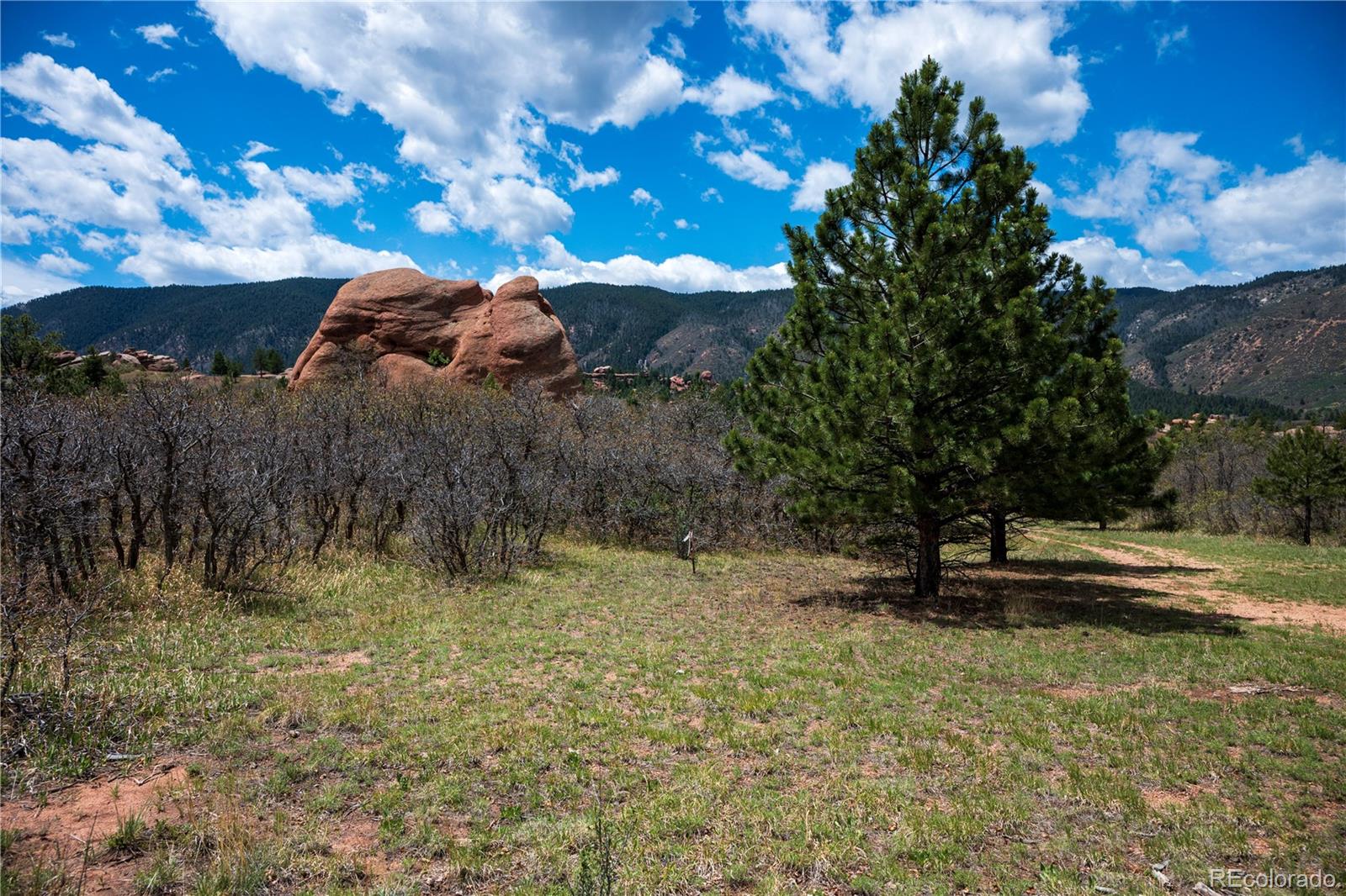 6128 Columbine Court Larkspur CO 80118