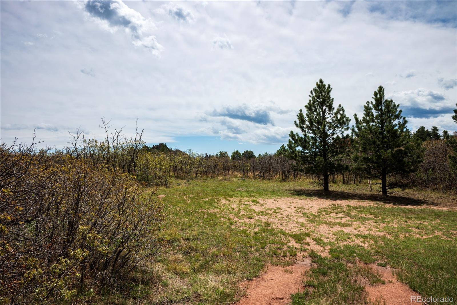 6128 Columbine Court Larkspur CO 80118