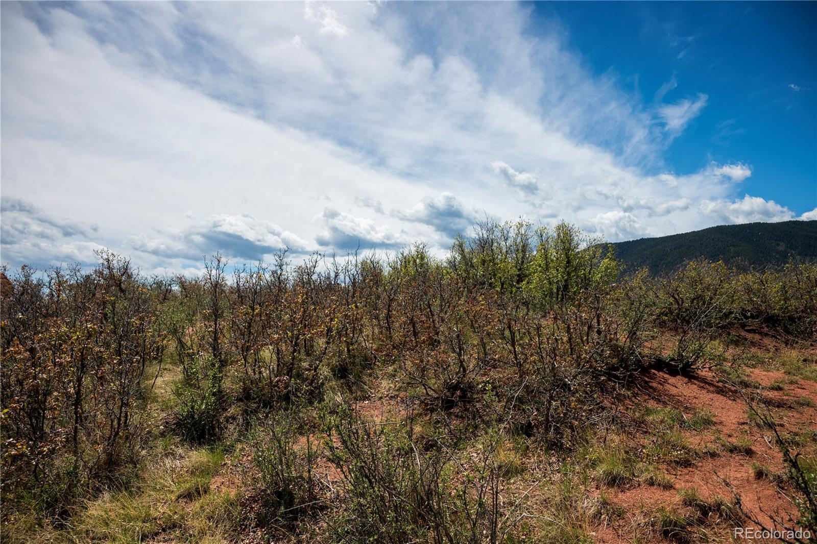 6128 Columbine Court Larkspur CO 80118