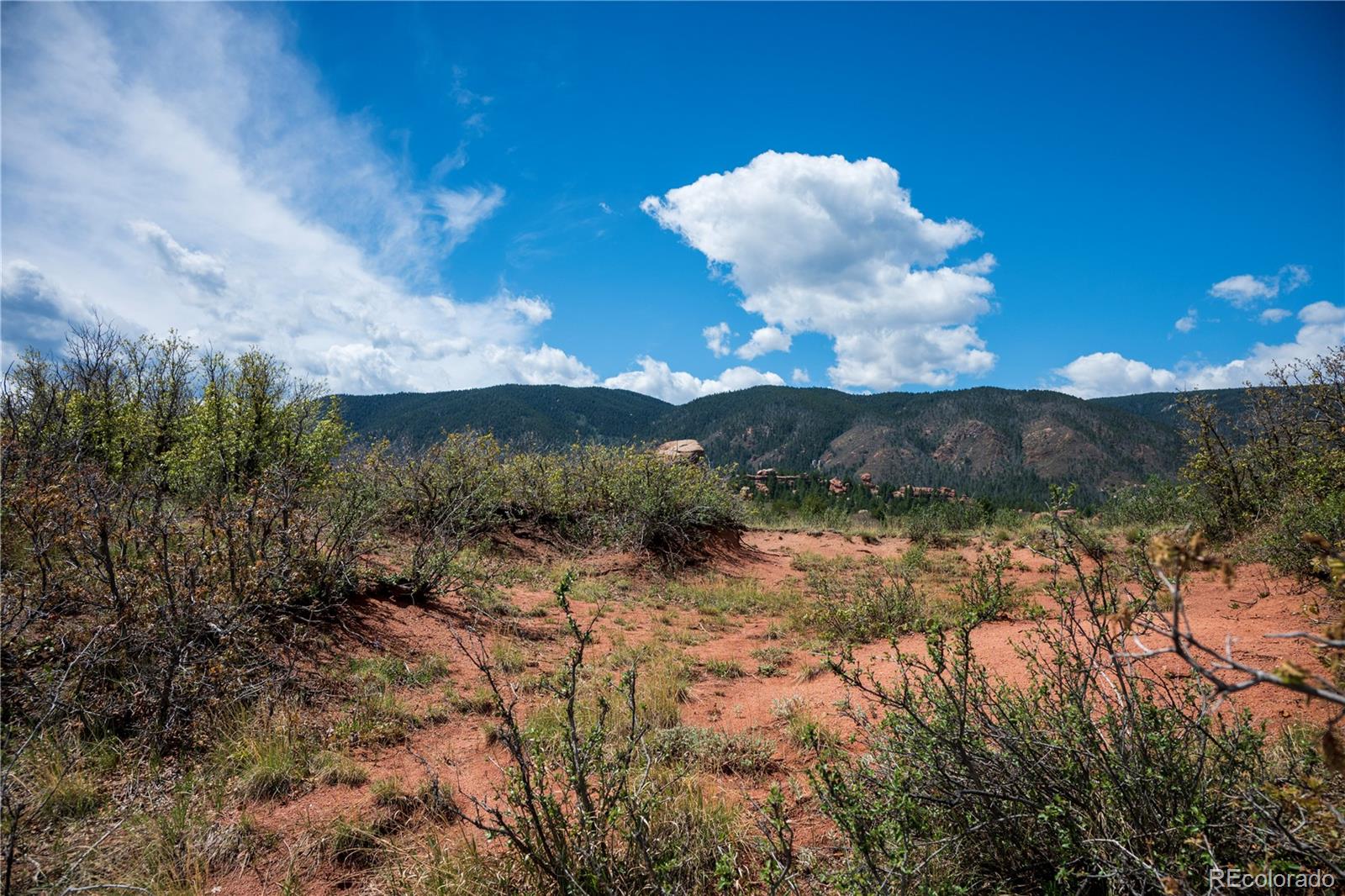 6128 Columbine Court Larkspur CO 80118