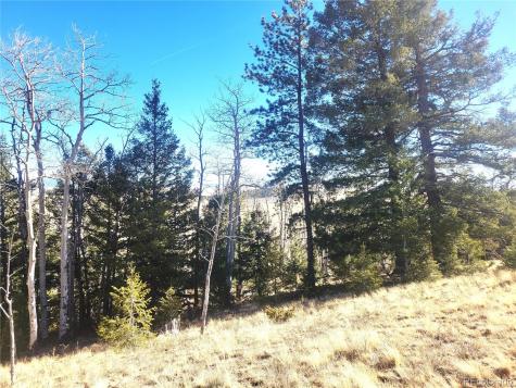 8802 Ranch Road Hartsel CO 80449