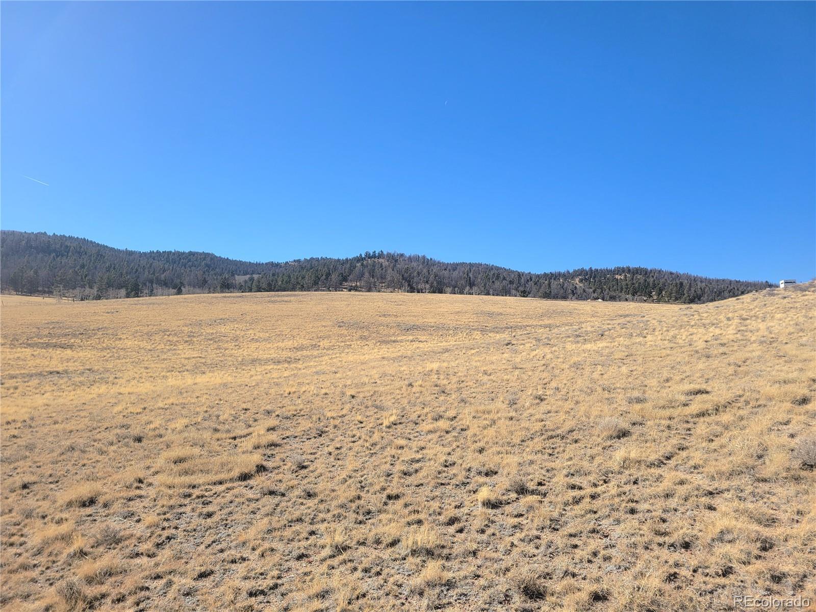 8802 Ranch Road Hartsel CO 80449
