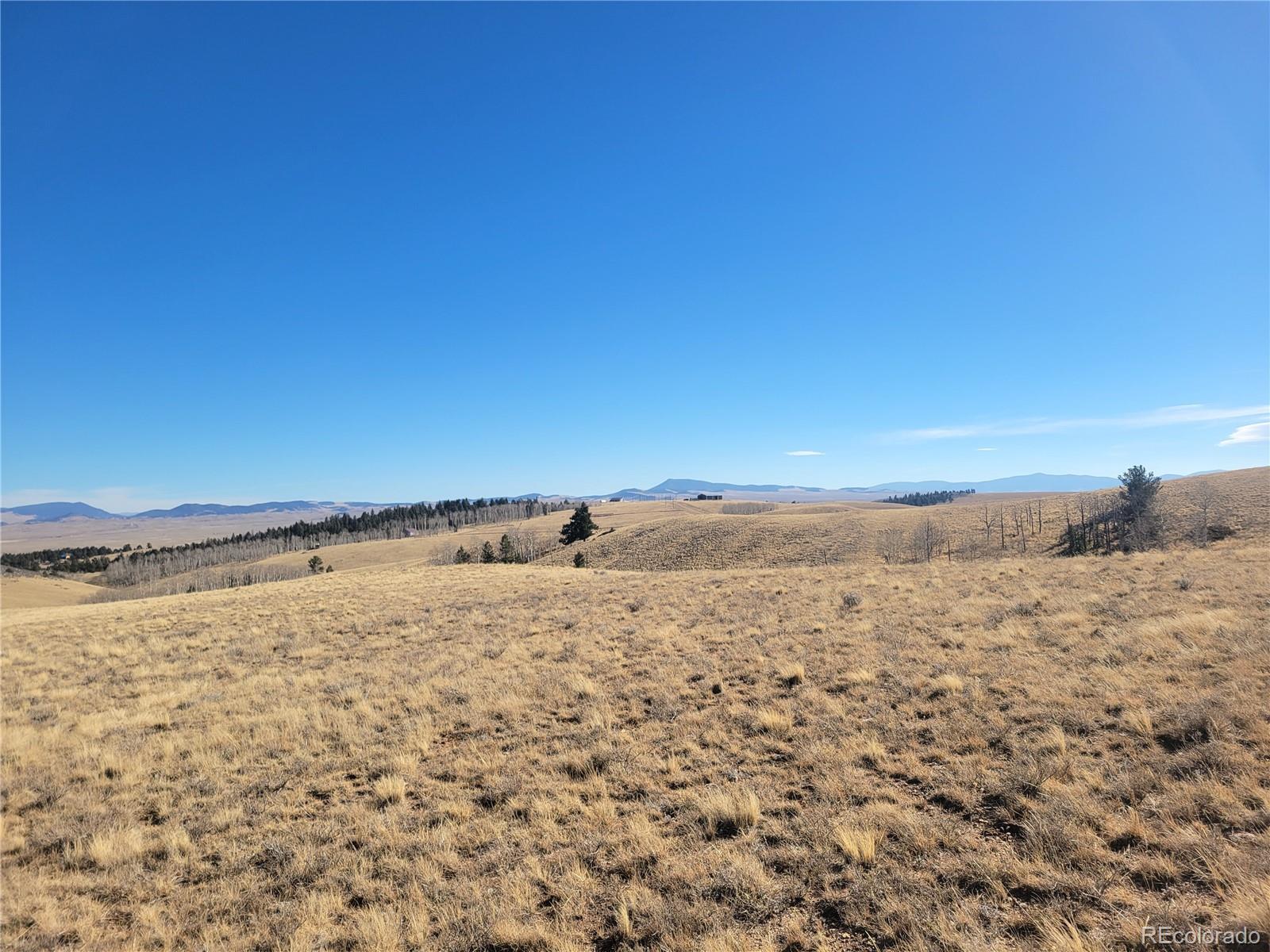 8802 Ranch Road Hartsel CO 80449