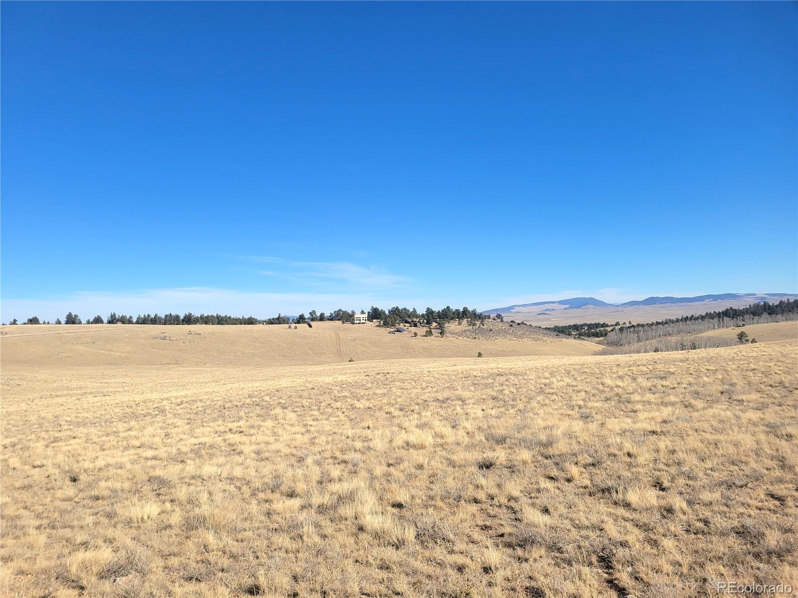 8802 Ranch Road Hartsel CO 80449
