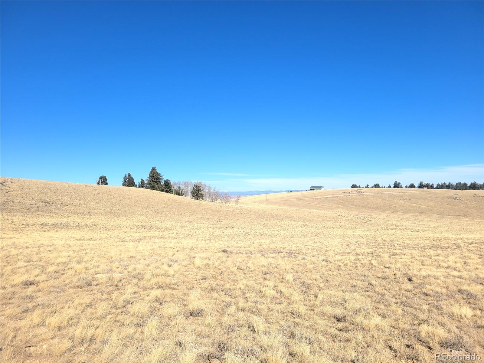 8802 Ranch Road Hartsel CO 80449