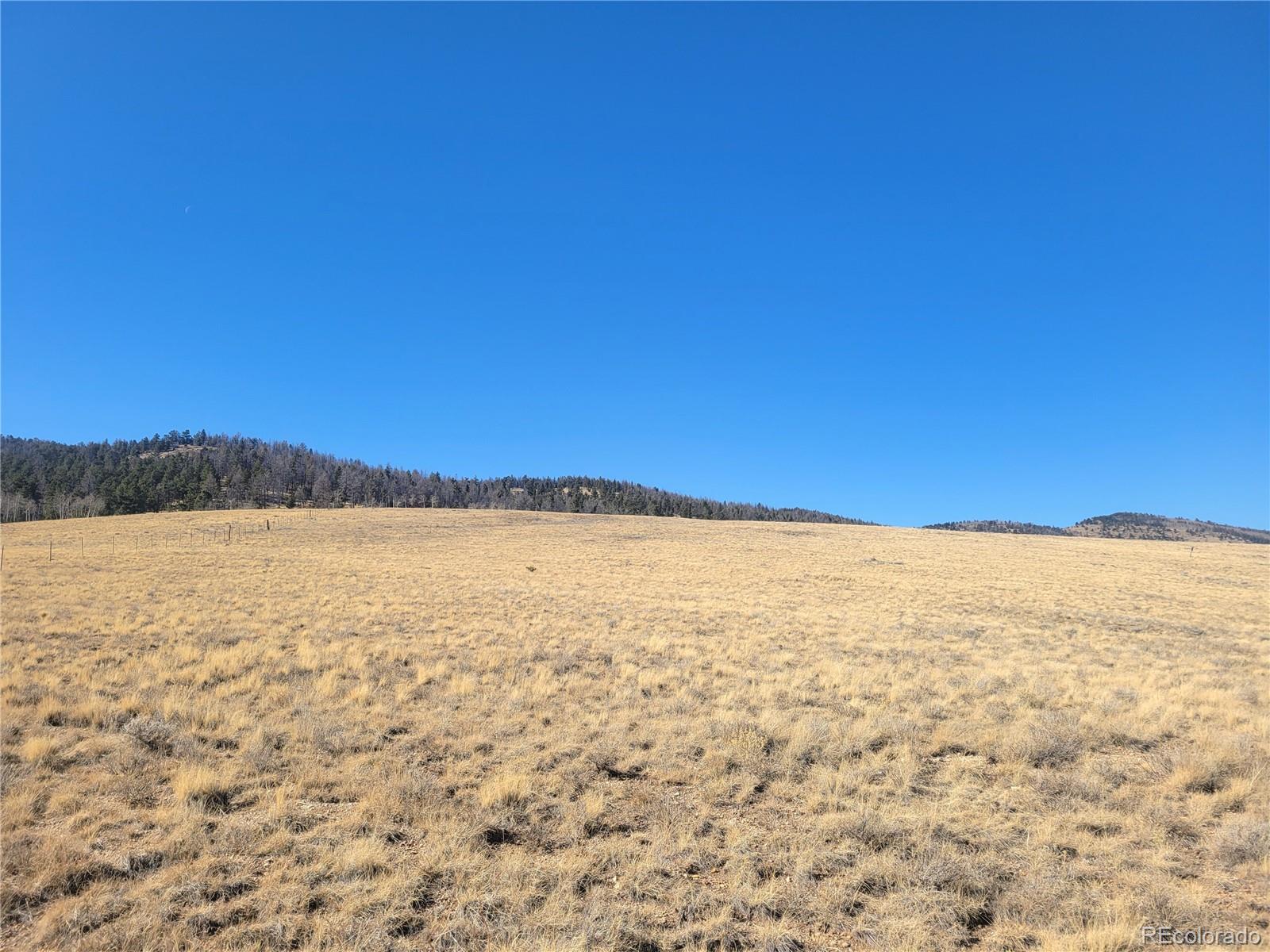 8802 Ranch Road Hartsel CO 80449
