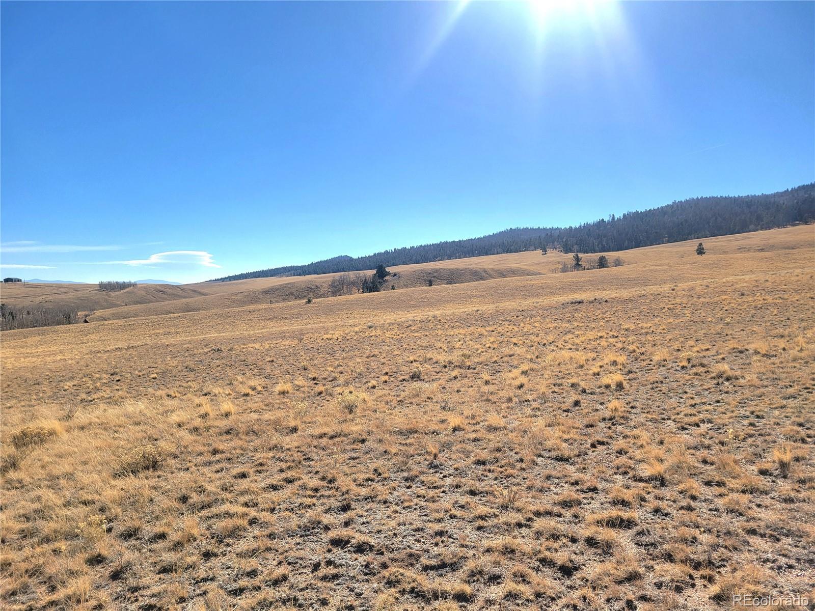 8802 Ranch Road Hartsel CO 80449