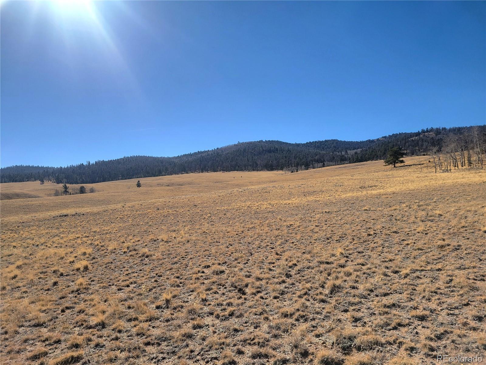 8802 Ranch Road Hartsel CO 80449