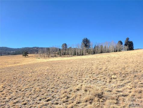 8802 Ranch Road Hartsel CO 80449