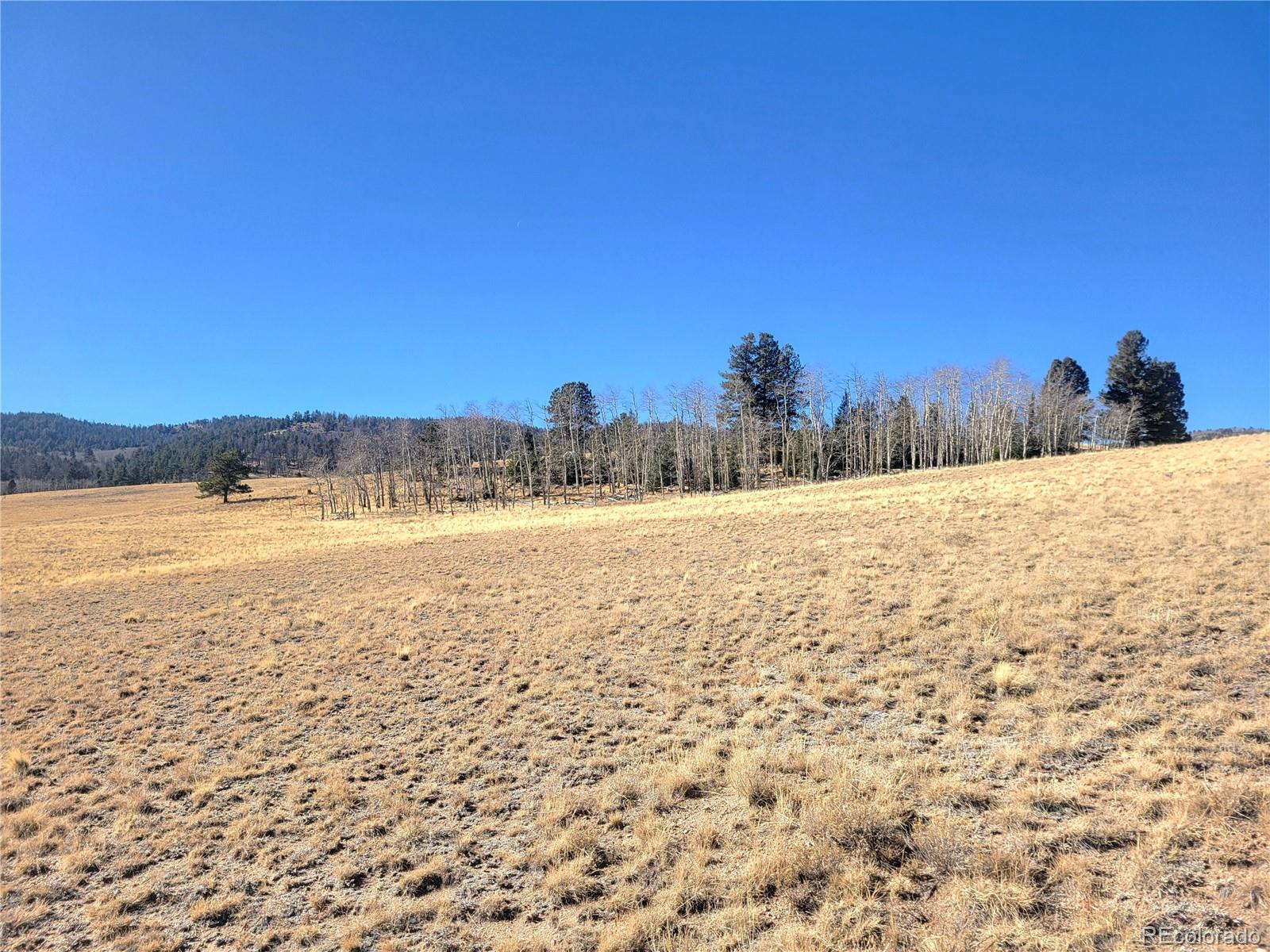 8802 Ranch Road Hartsel CO 80449